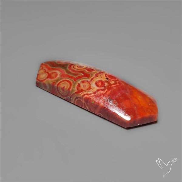 Orbicular Ocean Jasper Cabochon