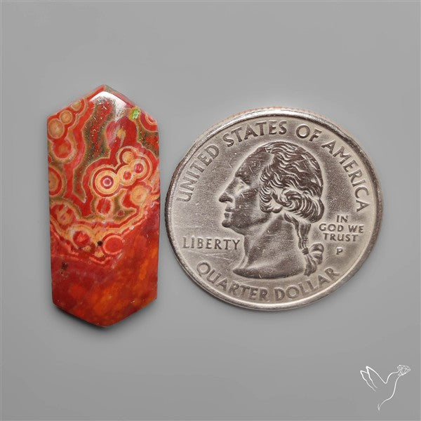 Orbicular Ocean Jasper Cabochon
