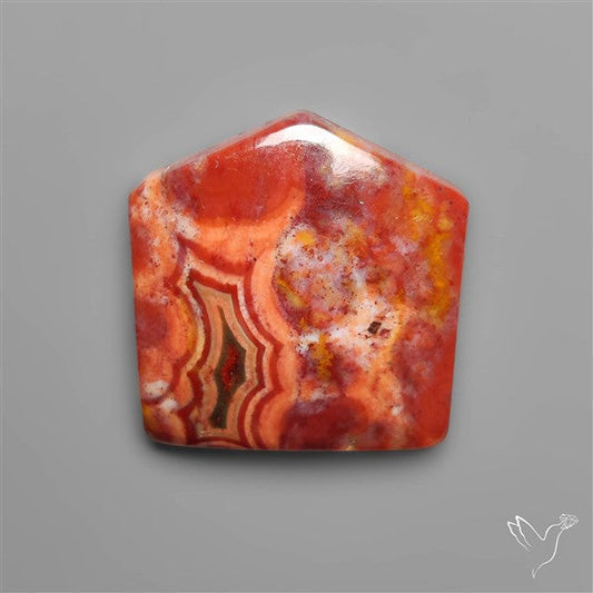 Orbicular Ocean Jasper Cabochon