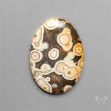 Orbicular Ocean Jasper Cabochon
