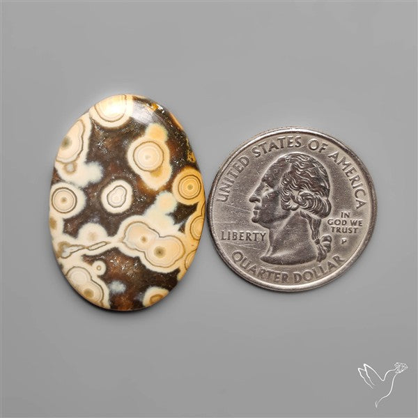 Orbicular Ocean Jasper Cabochon
