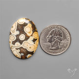 Orbicular Ocean Jasper Cabochon