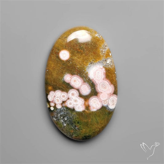 Orbicular Ocean Jasper Cabochon
