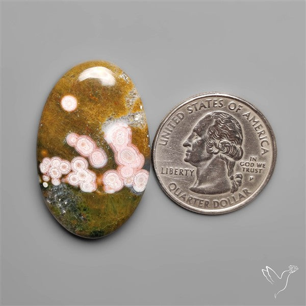 Orbicular Ocean Jasper Cabochon