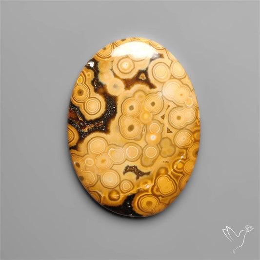 Orbicular Ocean Jasper Cabochon