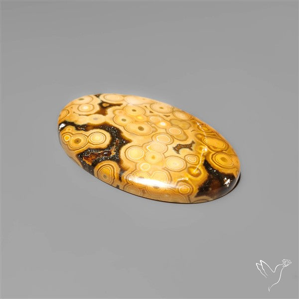 Orbicular Ocean Jasper Cabochon