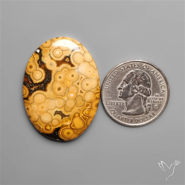 Orbicular Ocean Jasper Cabochon