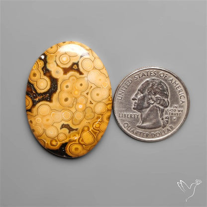 Orbicular Ocean Jasper Cabochon