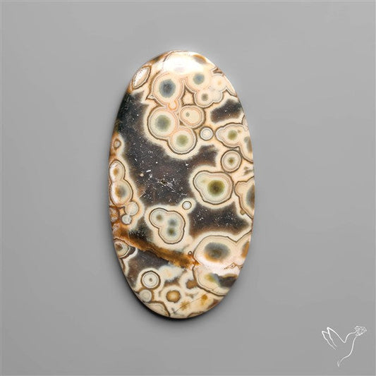 Orbicular Ocean Jasper Cabochon