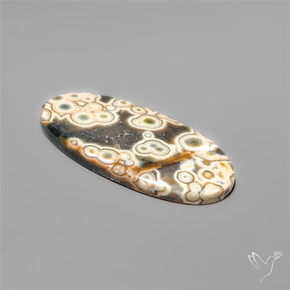Orbicular Ocean Jasper Cabochon