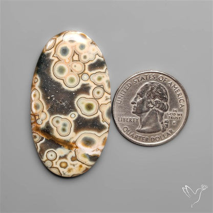 Orbicular Ocean Jasper Cabochon