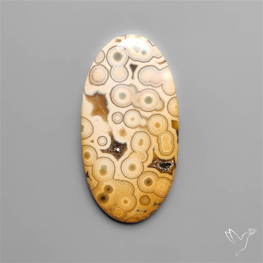 Orbicular Ocean Jasper Cabochon
