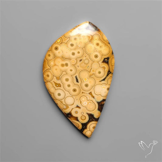 Orbicular Ocean Jasper Cabochon
