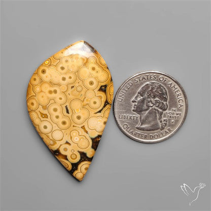Orbicular Ocean Jasper Cabochon