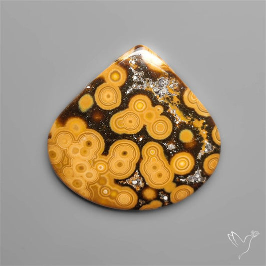 Orbicular Ocean Jasper Cabochon