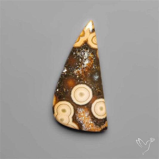 Orbicular Ocean Jasper Cabochon