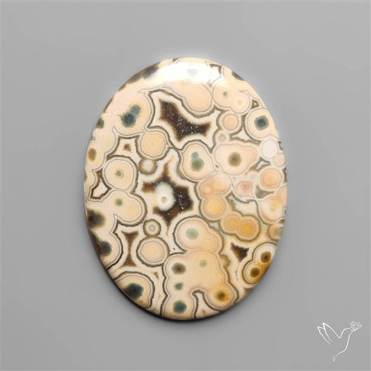 Orbicular Ocean Jasper Cabochon