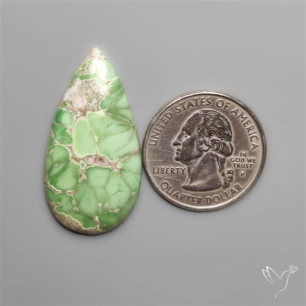 Australian Variscite Cabochon