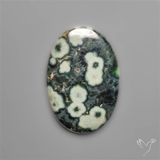 Orbicular Green Ocean Jasper Cabochon