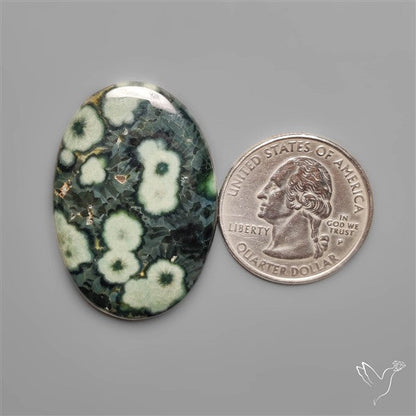 Orbicular Green Ocean Jasper Cabochon