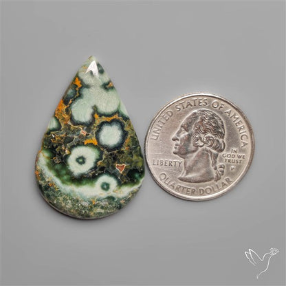 Orbicular Green Ocean Jasper Cabochon