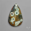 Orbicular Green Ocean Jasper Cabochon
