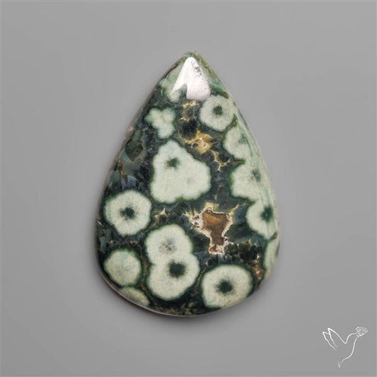 Orbicular Green Ocean Jasper Cabochon
