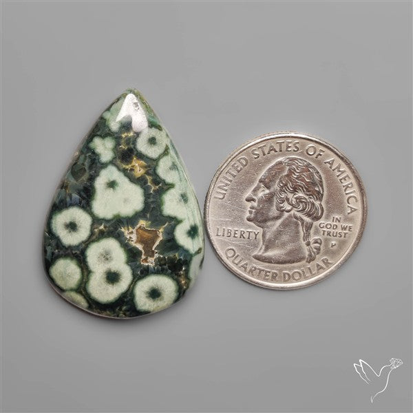 Orbicular Green Ocean Jasper Cabochon