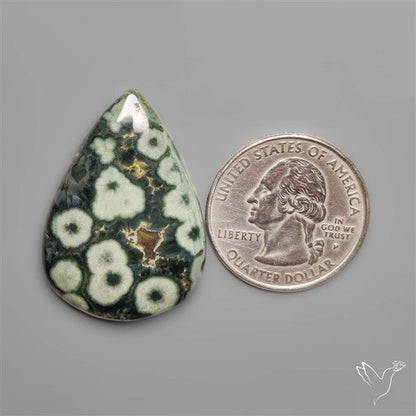 Orbicular Green Ocean Jasper Cabochon