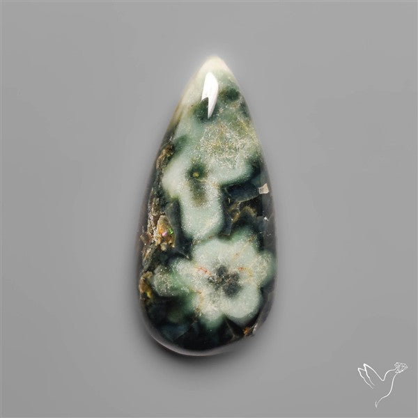 Orbicular Green Ocean Jasper Cabochon