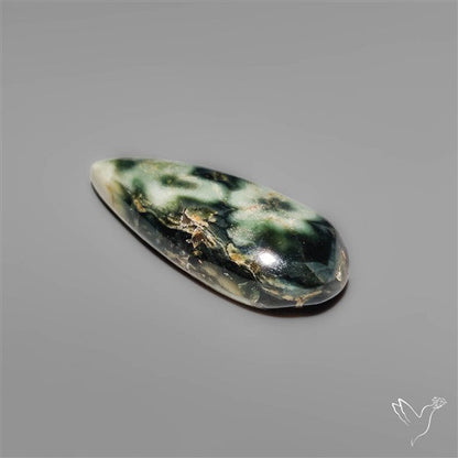 Orbicular Green Ocean Jasper Cabochon