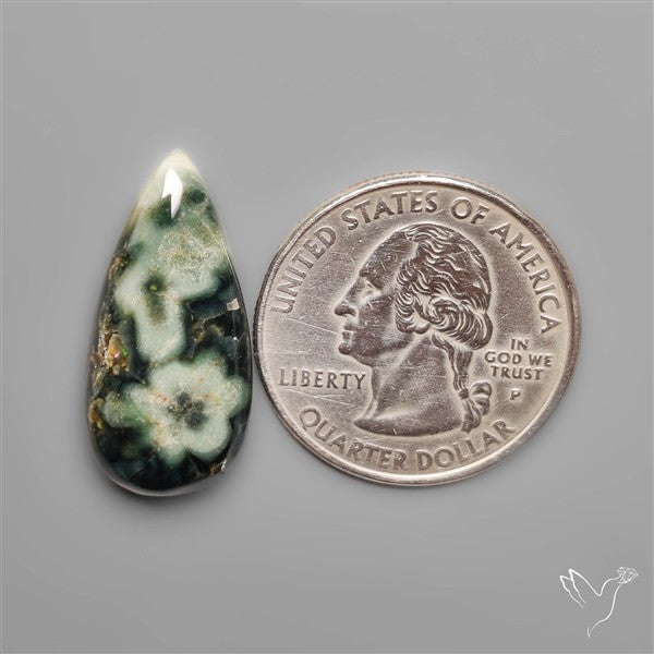 Orbicular Green Ocean Jasper Cabochon