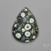 Orbicular Green Ocean Jasper Cabochon