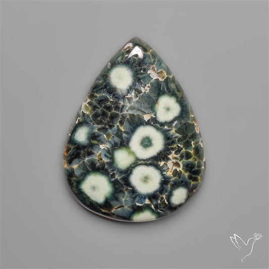 Orbicular Green Ocean Jasper Cabochon