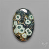 Orbicular Green Ocean Jasper Cabochon