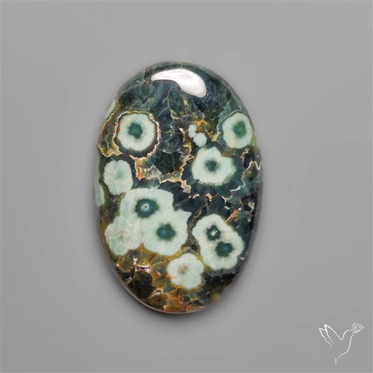 Orbicular Green Ocean Jasper Cabochon