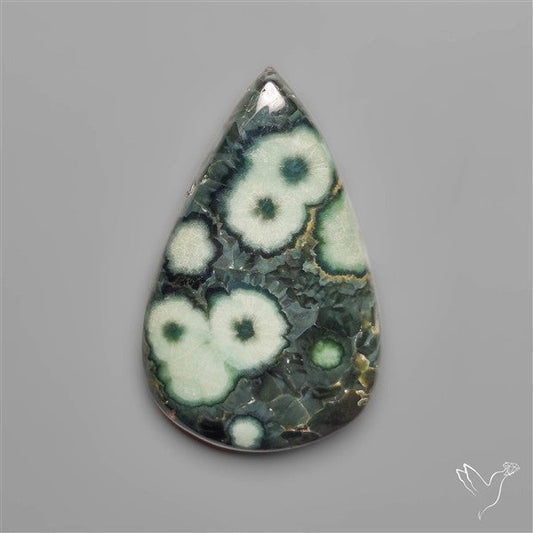 Orbicular Green Ocean Jasper Cabochon