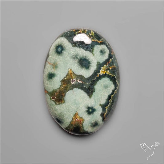 Orbicular Green Ocean Jasper Cabochon
