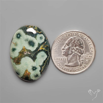Orbicular Green Ocean Jasper Cabochon