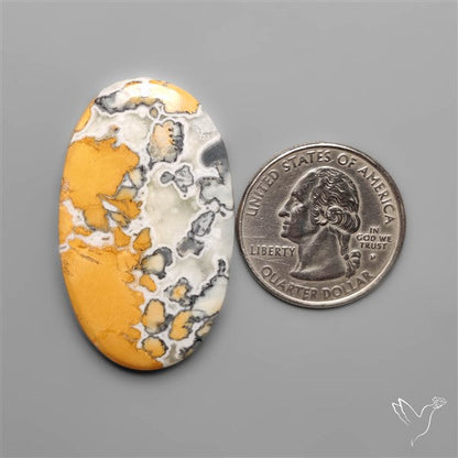 Maligano Jasper Cabochon