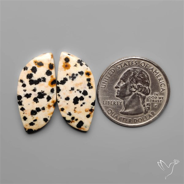 Dalmatian Jasper Pair