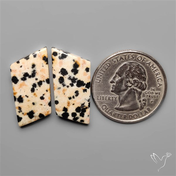 Dalmatian Jasper Pair