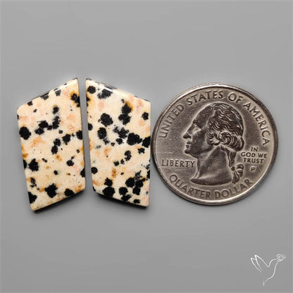 Dalmatian Jasper Pair