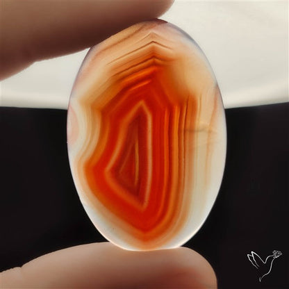 Botswana Agate Cabochon