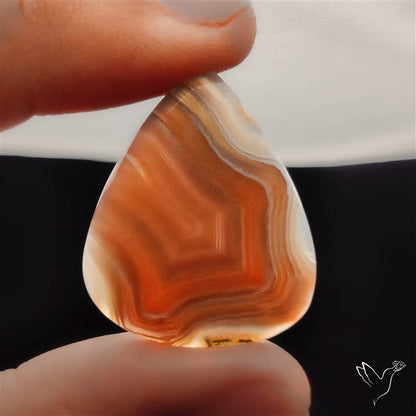 Botswana Agate Cabochon