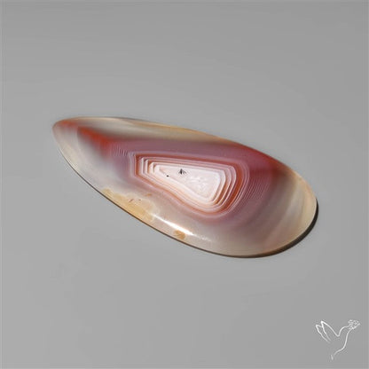 Botswana Agate Cabochon
