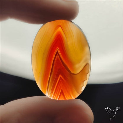 Botswana Agate Cabochon