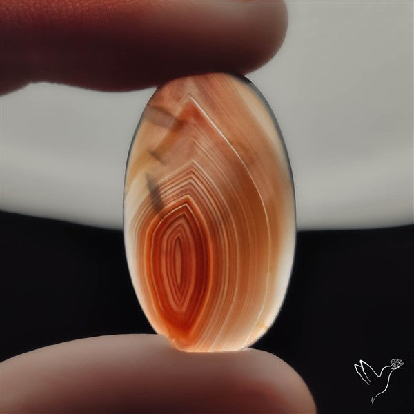 Botswana Agate Cabochon