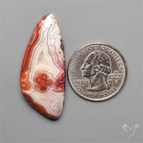 Crazylace Agate Cabochon
