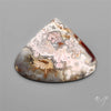 Crazylace Agate Cabochon